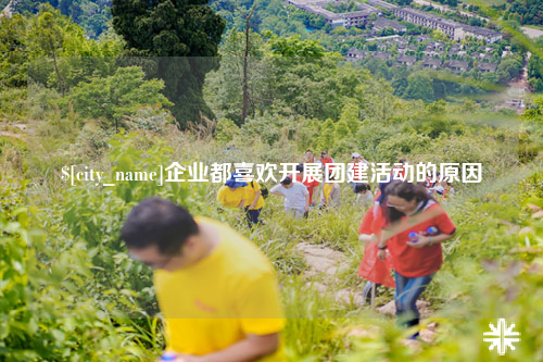 那曲企业都喜欢开展团建活动的原因